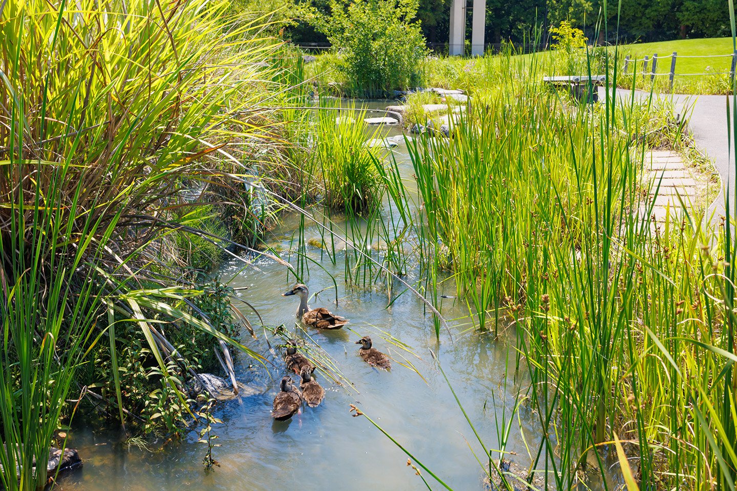 🐠 헤키난 해변 수족관 (헤키난카이힌스이조쿠칸) 이미지 5